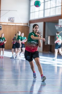 Bild 39 - wDJ HSG Kremperheide/Muensterdorf - TSV SR Schuelp : Ergebnis: 26:5